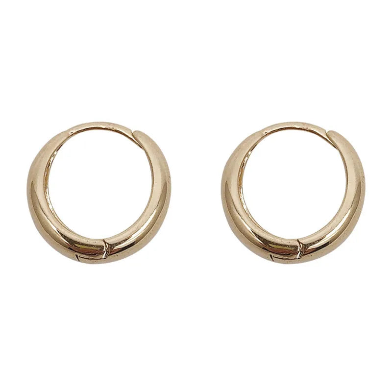 Metal Hoop Earrings for Women Simple Versatile Daily Wear Everyday Ear Accessories Young Girls Statement Jewelry